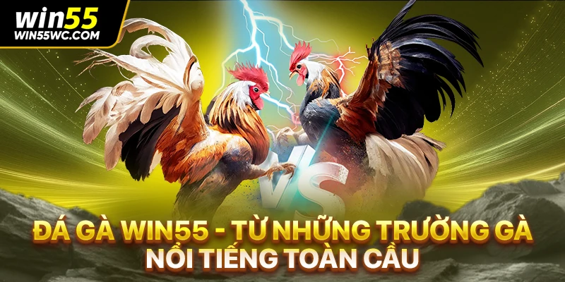 Đá gà win55 - Từ những trường gà nổi tiếng toàn cầu